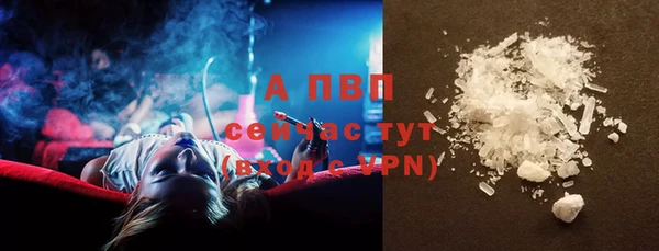 стафф Белокуриха