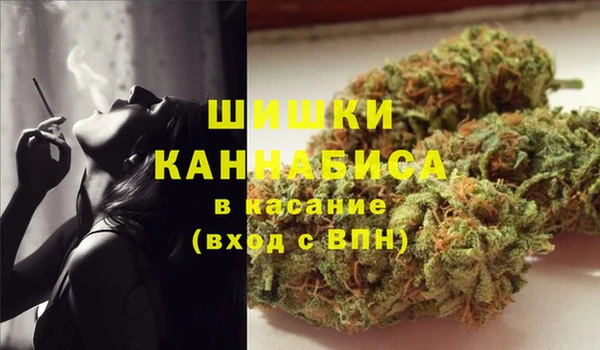 стафф Белокуриха