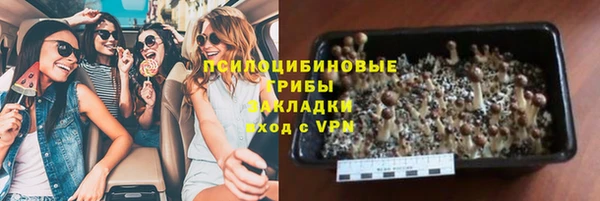 стафф Белокуриха