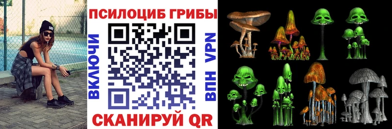 Галлюциногенные грибы Psilocybine cubensis  купить наркоту  Покровск 